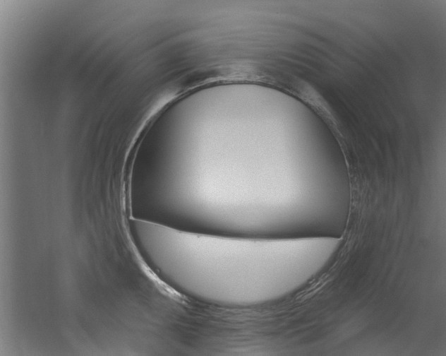 X0000060791095200511101028