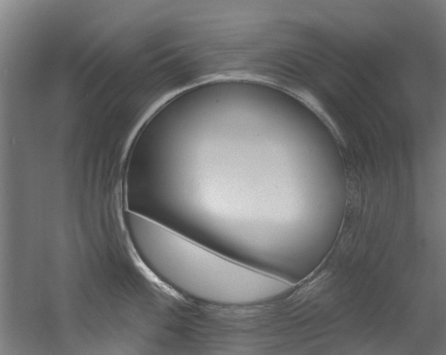 X0000060791100200511101028