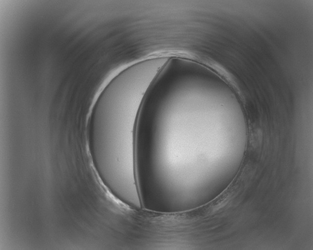 X0000060791102200511101028