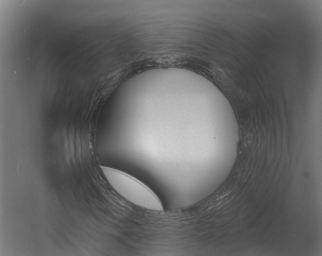 X0000060791106200511101027
