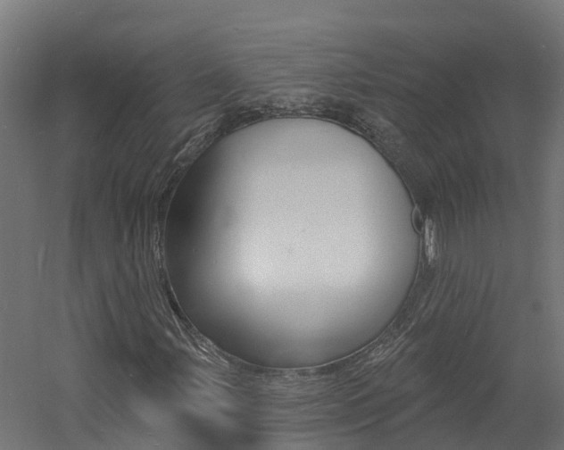 X0000060791107200511101027