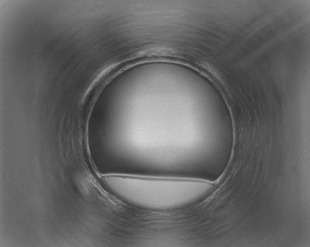 X0000060791115200511101027