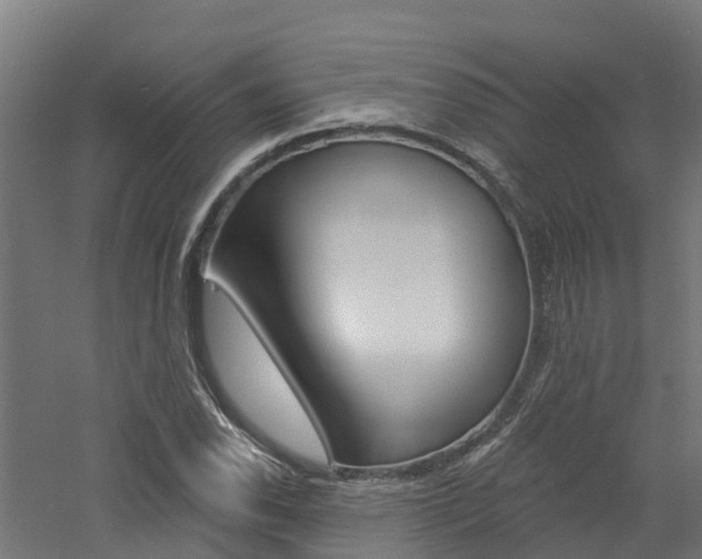X0000060791118200511101027