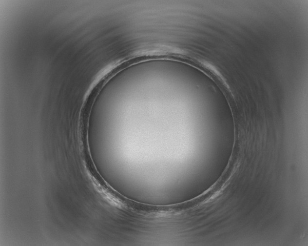 X0000060791122200511101027
