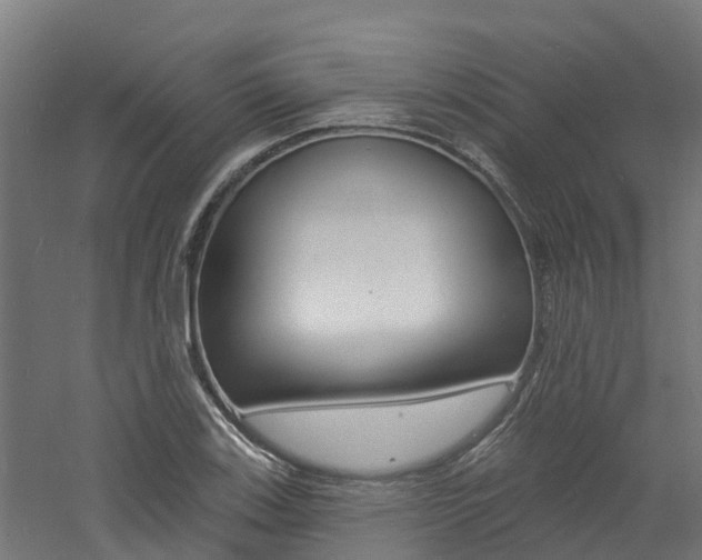 X0000060791123200511101027