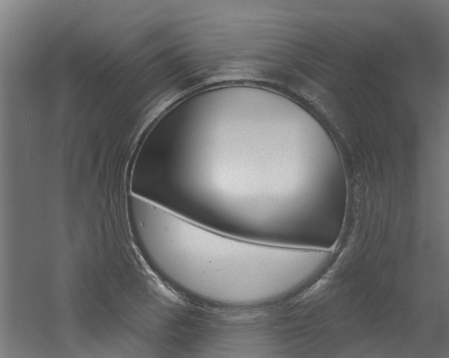 X0000060791129200511101027