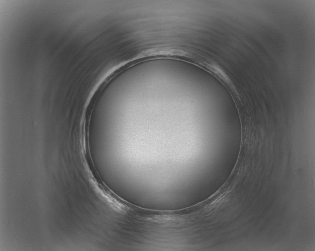 X0000060791132200511101027