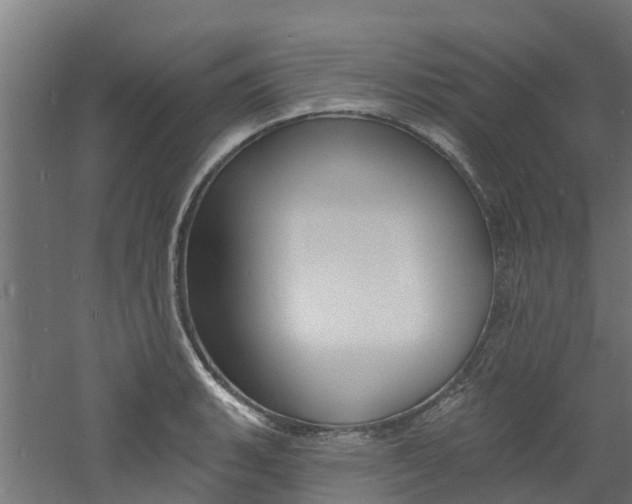 X0000060791135200511101027