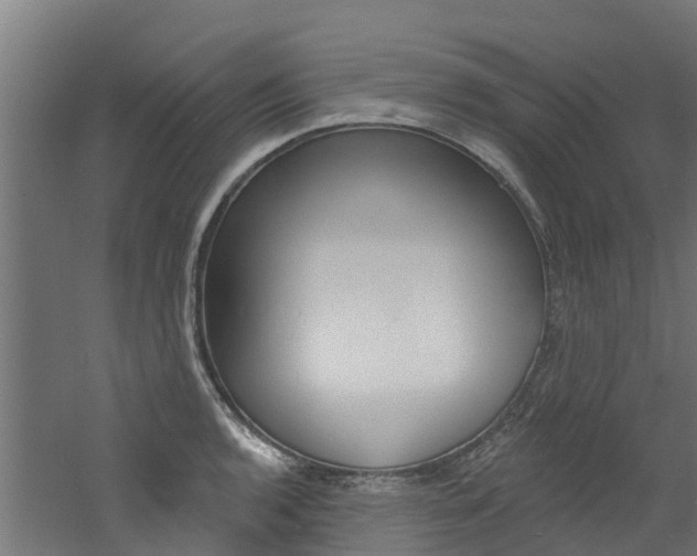 X0000060791136200511101027