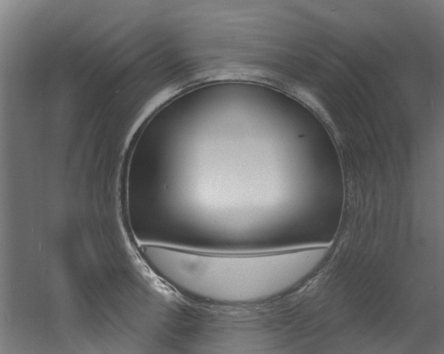 X0000060791138200511101027