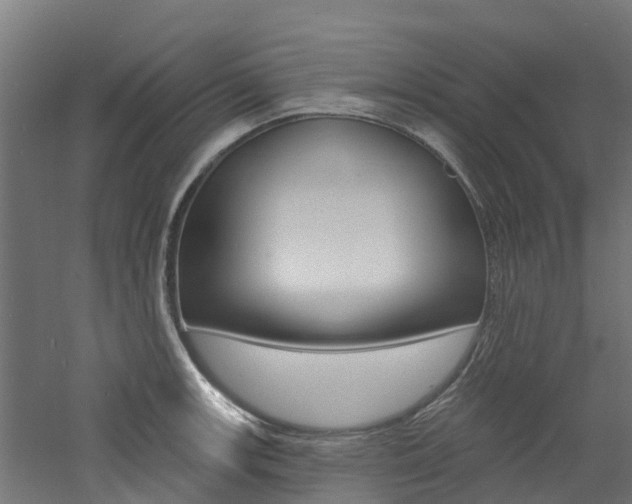 X0000060791139200511101027