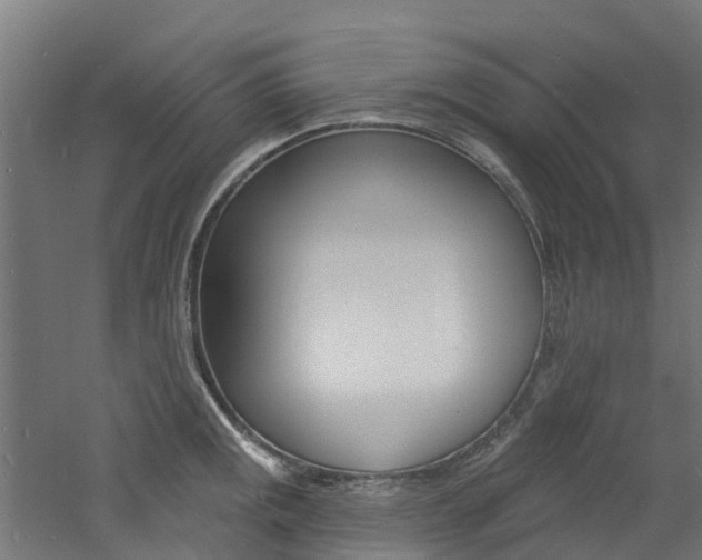 X0000060791141200511101027