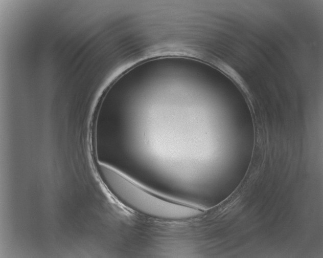 X0000060791144200511101027