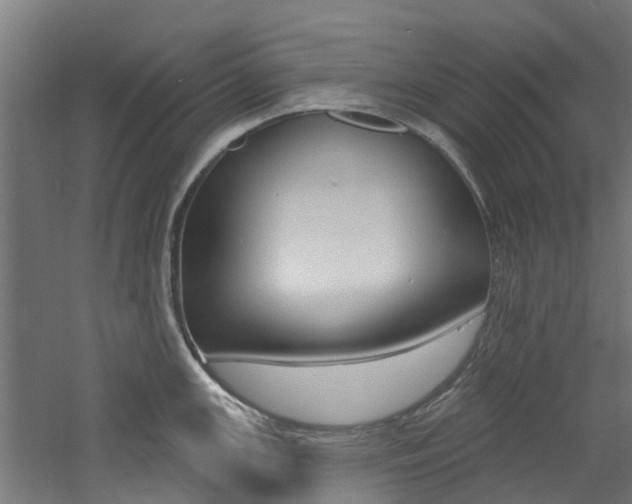 X0000060791147200511101027