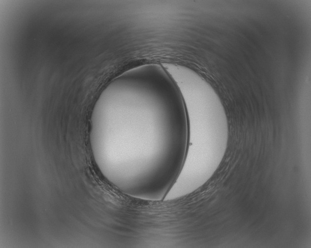 X0000060791153200511101027