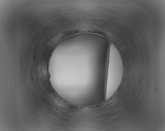 X0000060791155200511101027