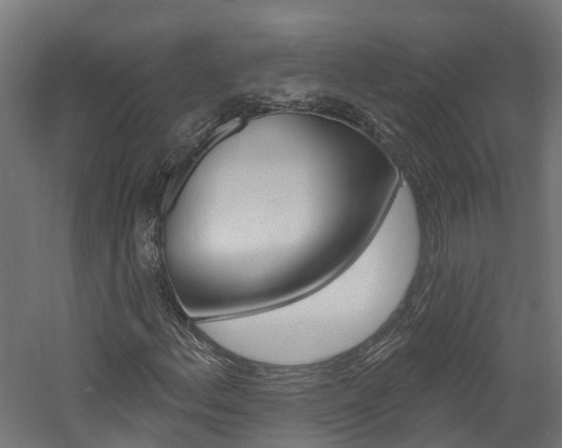 X0000060791156200511101027