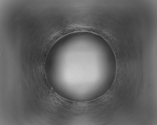 X0000060791157200511101027