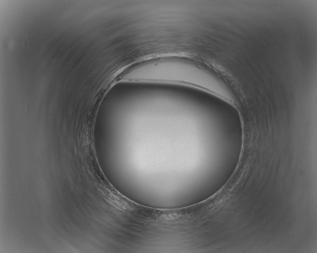 X0000060791169200511101026