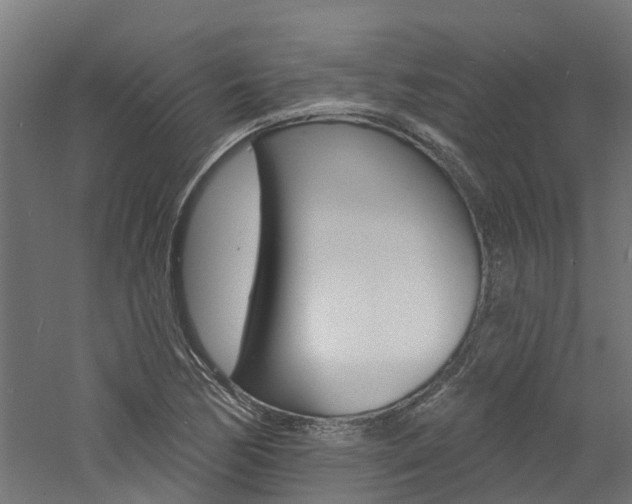 X0000060791170200511101026
