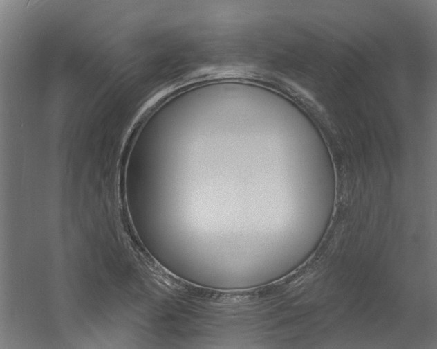 X0000060791174200511101026