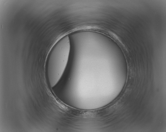 X0000060791178200511101026