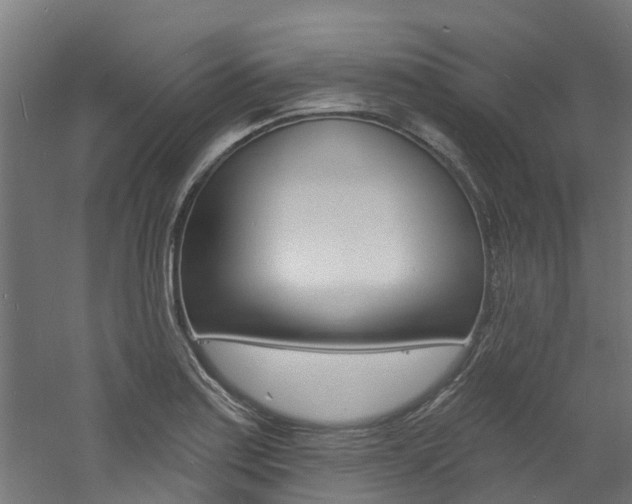 X0000060791179200511101026