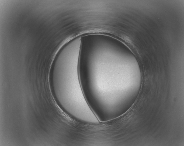 X0000060791181200511101026