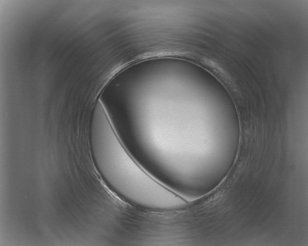 X0000060791185200511101026