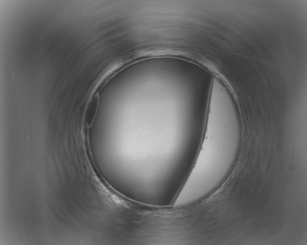X0000060791189200511101026