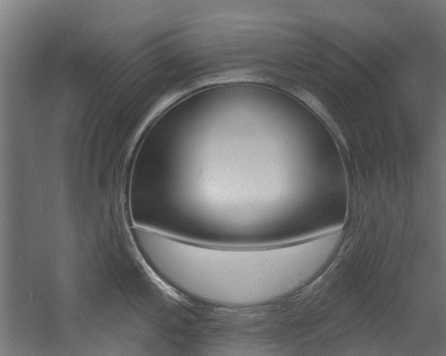 X0000060791197200511101026