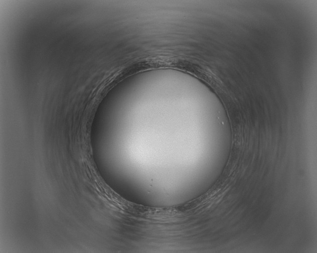 X0000060791201200511101025