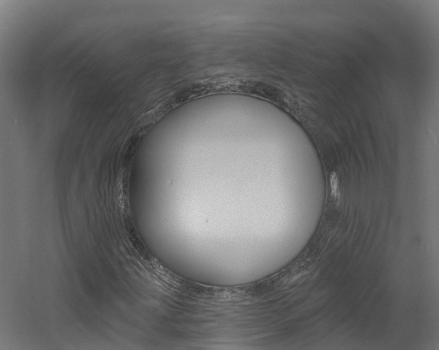 X0000060791203200511101025