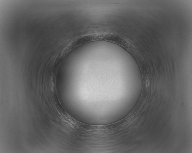 X0000060791204200511101025