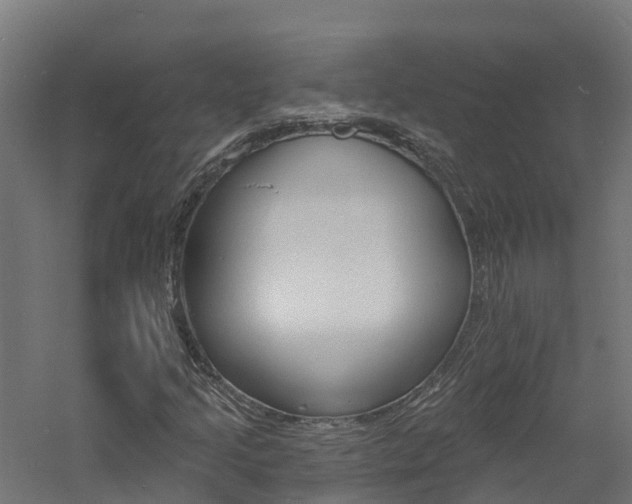 X0000060791205200511101025