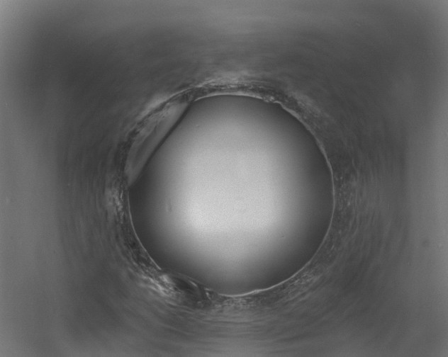 X0000060791206200511101025