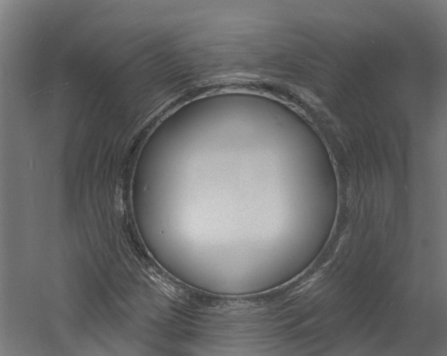 X0000060791209200511101025