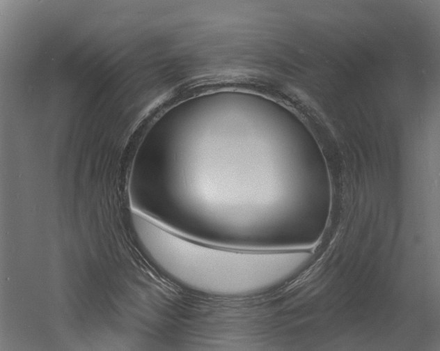 X0000060791210200511101025