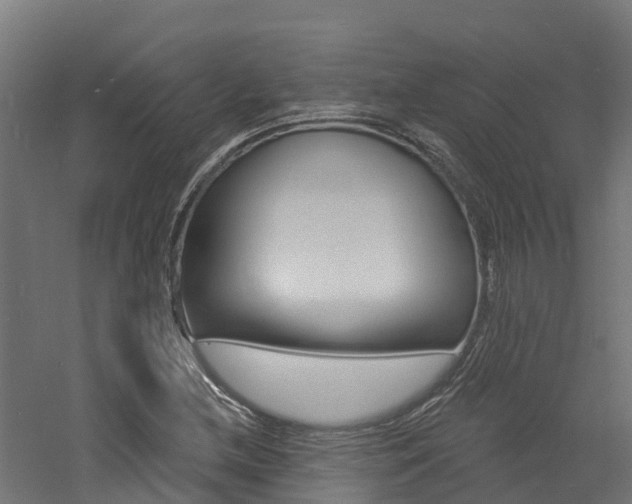 X0000060791212200511101025