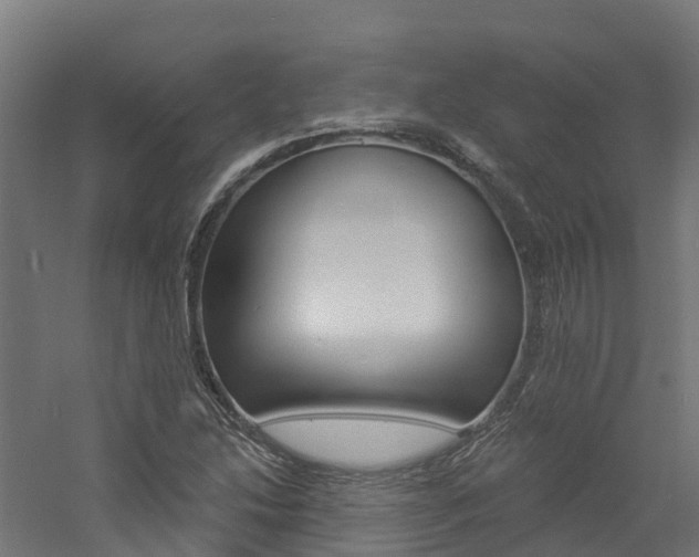 X0000060791214200511101025