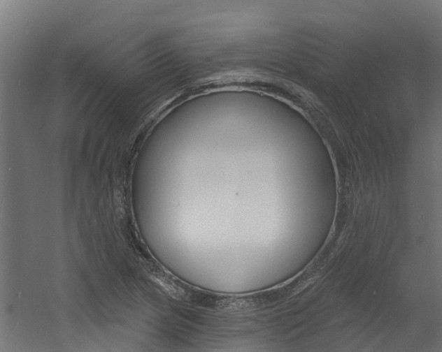 X0000060791217200511101025