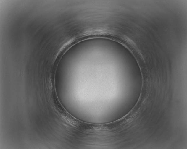 X0000060791218200511101025