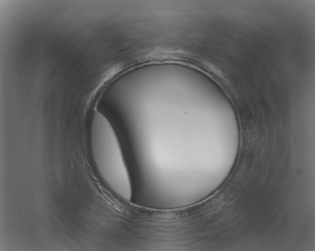 X0000060791219200511101025