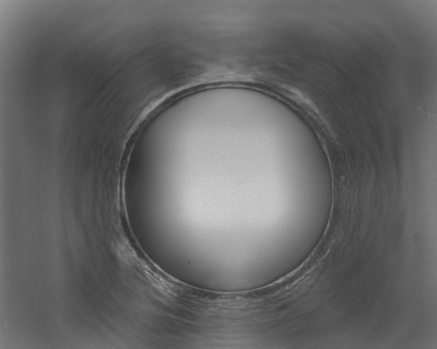X0000060791220200511101025