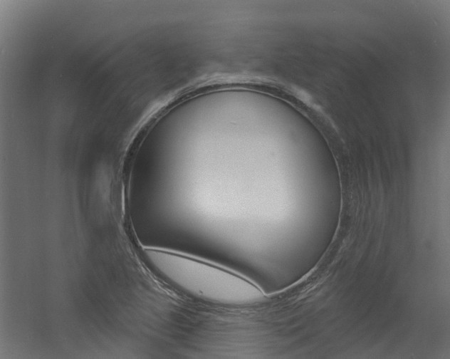 X0000060791221200511101025