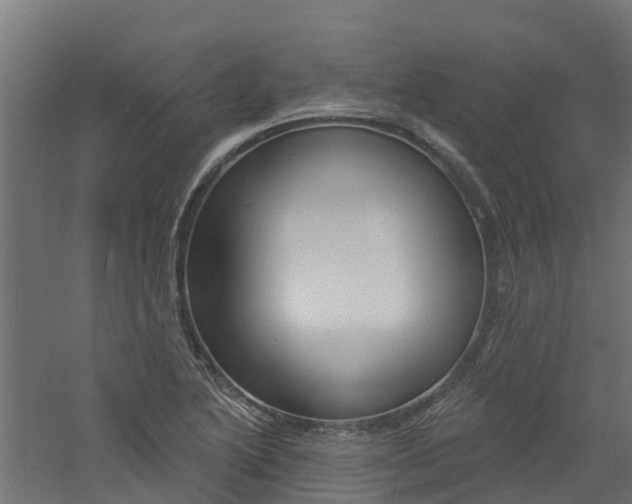 X0000060791222200511101025