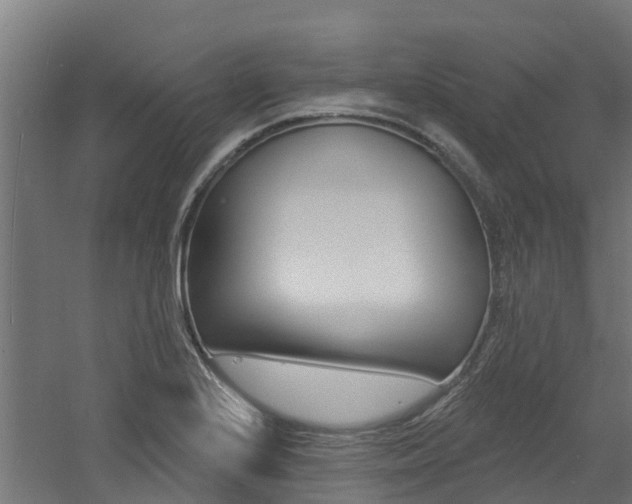 X0000060791224200511101025