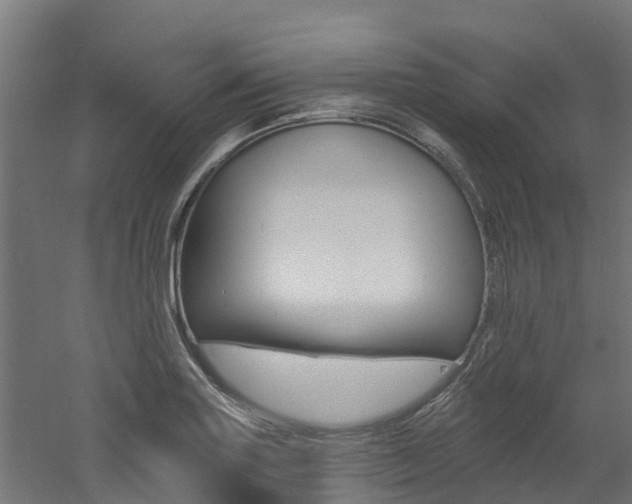 X0000060791227200511101026