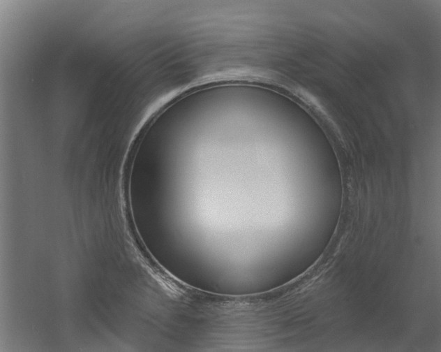 X0000060791230200511101026