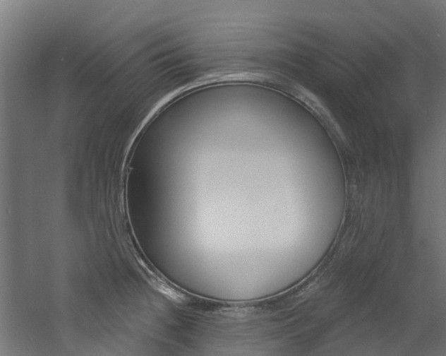 X0000060791236200511101026